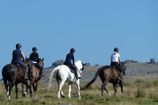 Tour image 5